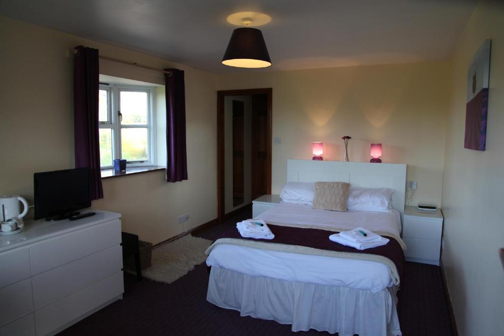 Hanmer Arms Room photo