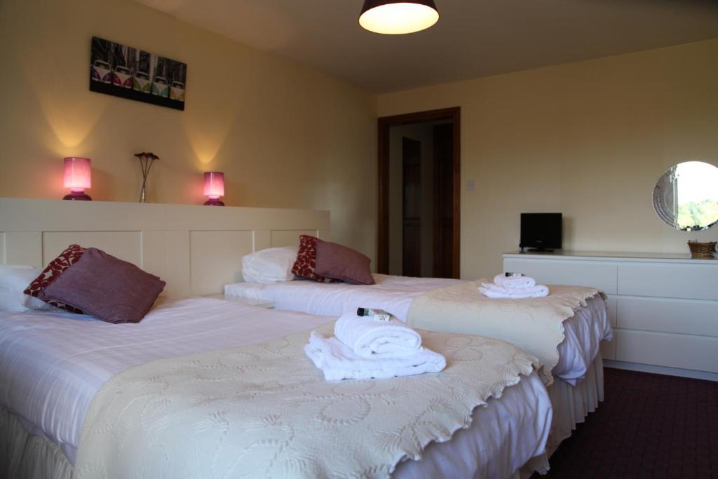 Hanmer Arms Room photo